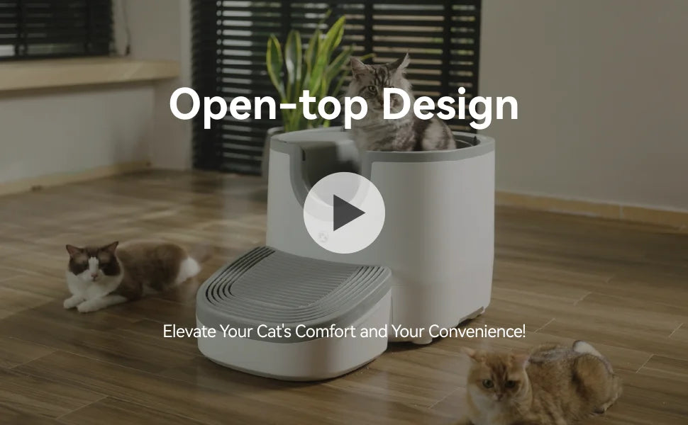 Cat Litter Accessory