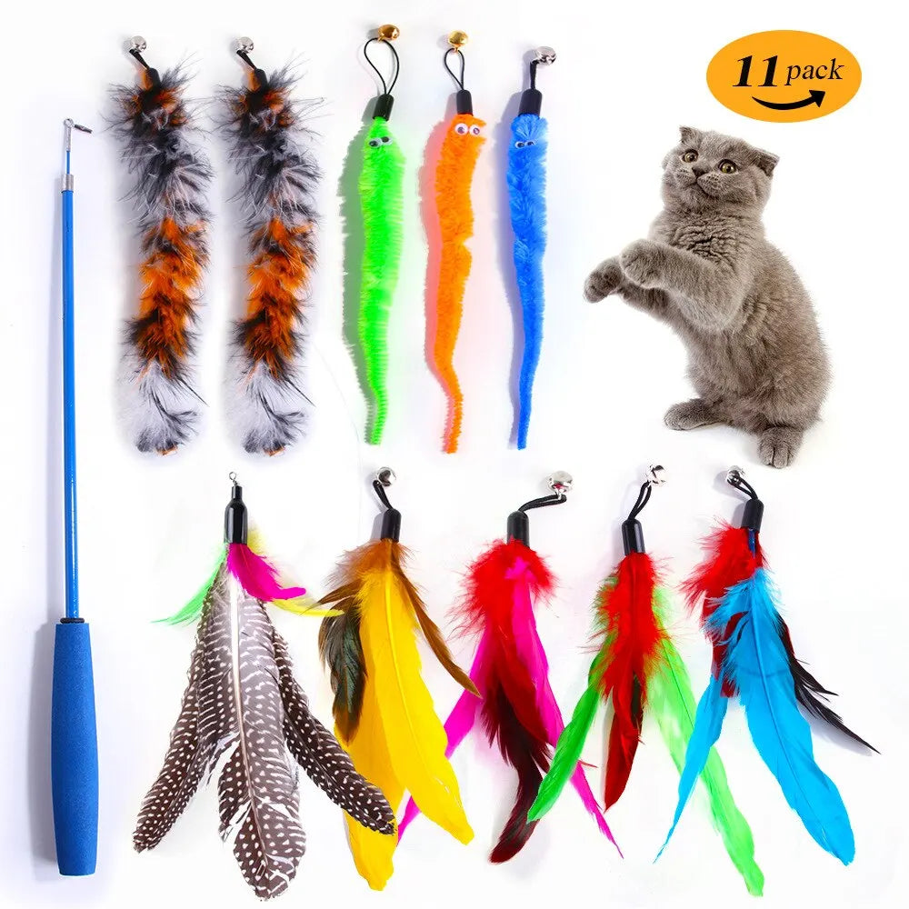 Interactive Pet Toy