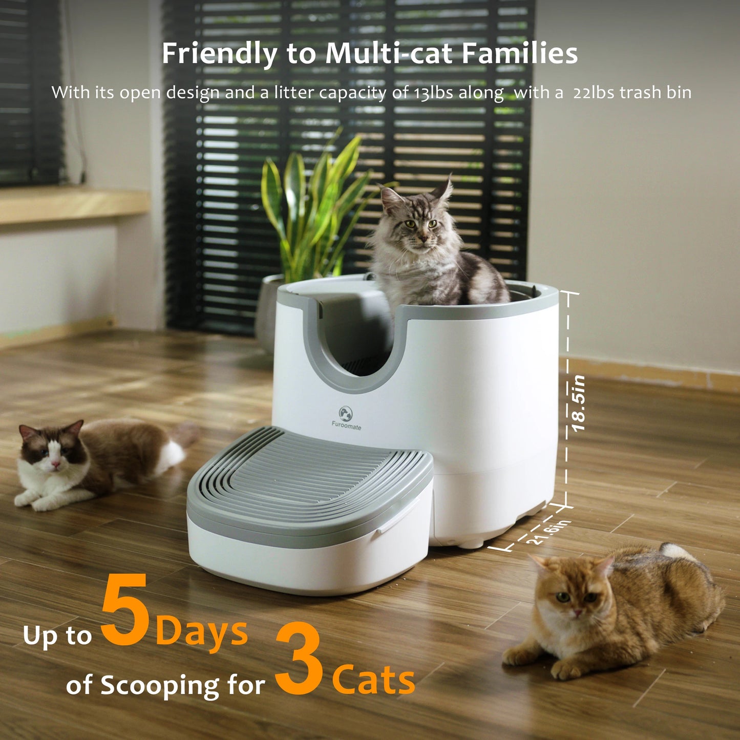 Cat Litter Accessory