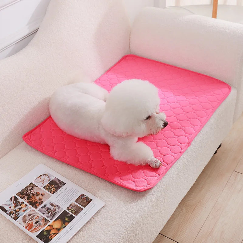 Soft Pet Blanket
