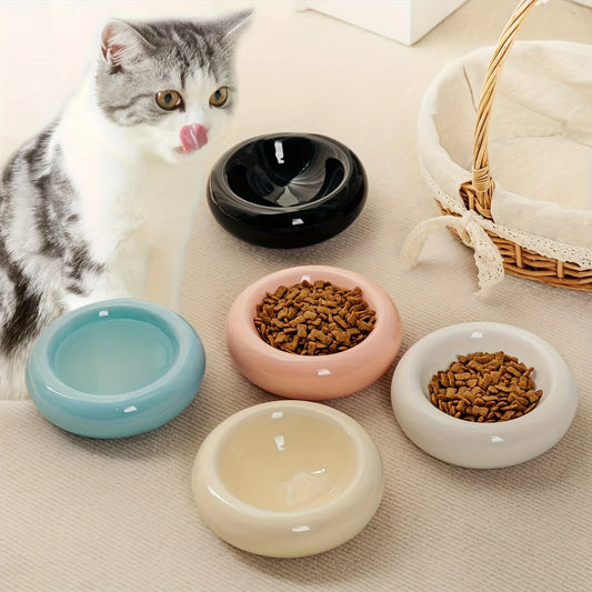 Pet Feeding Bowl