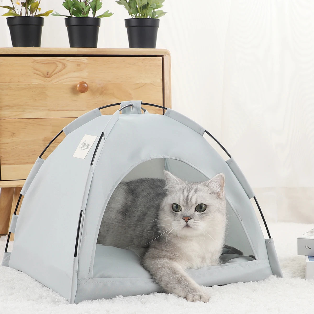 Cozy Pet Bed