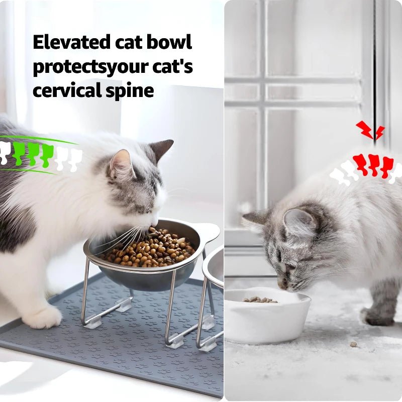 Pet Feeding Bowl