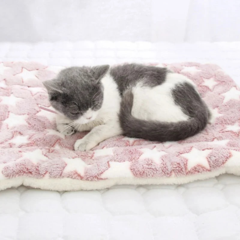 Soft Pet Blanket