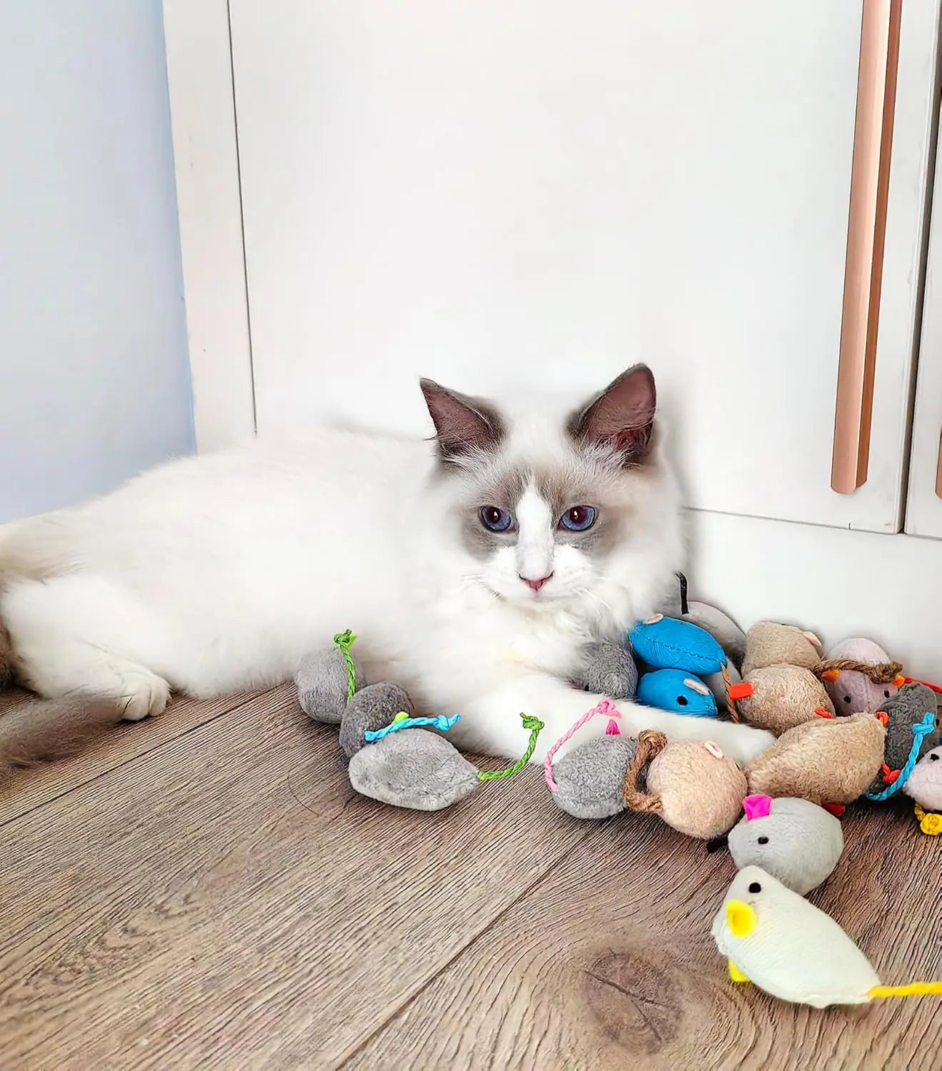 Cat Mouse Toy