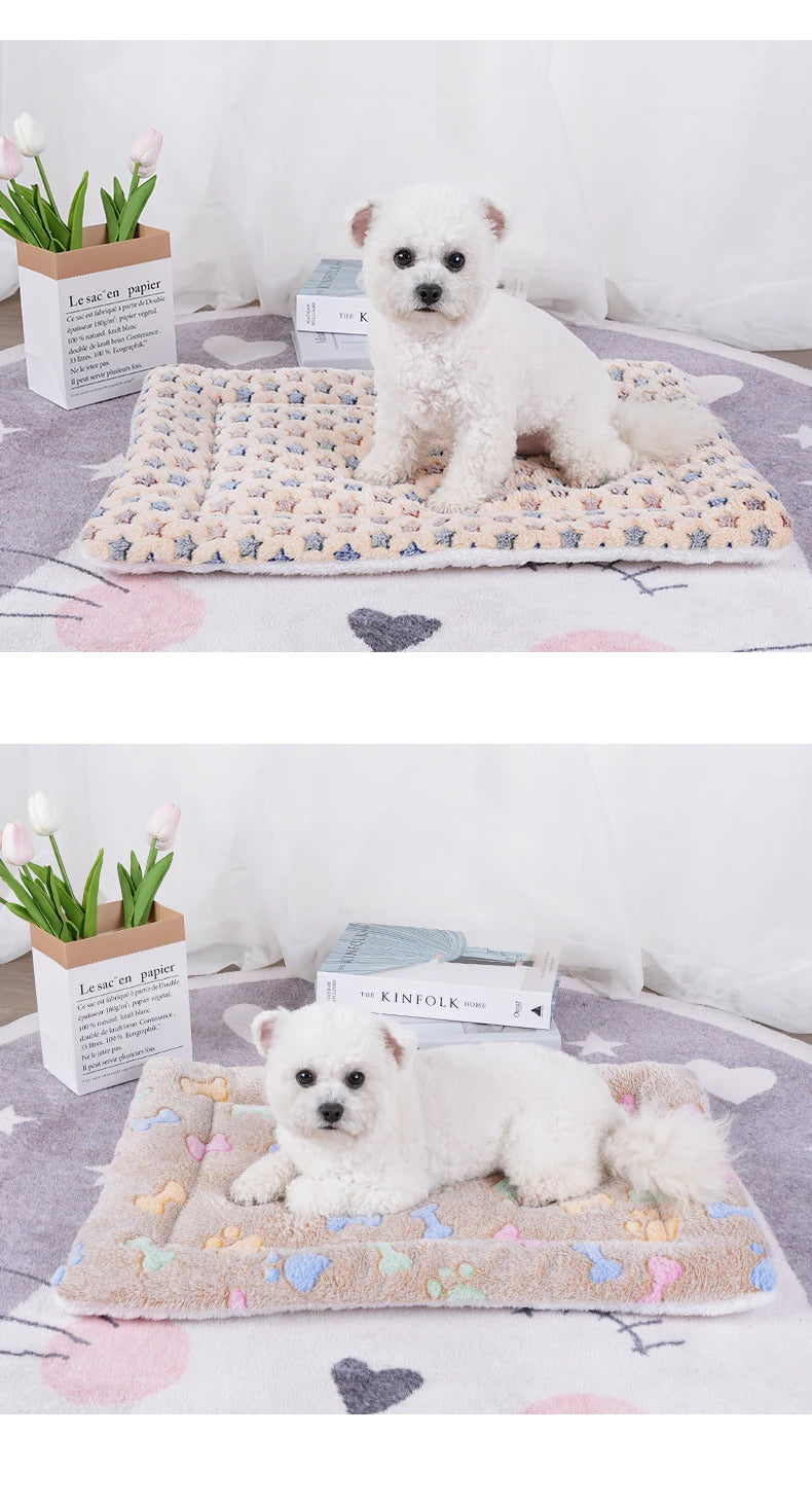 Soft Pet Blanket