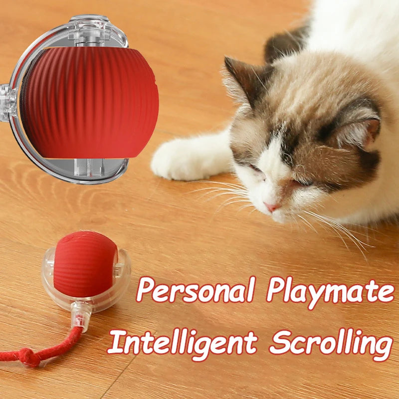 Cozy Pet Comfort Mat