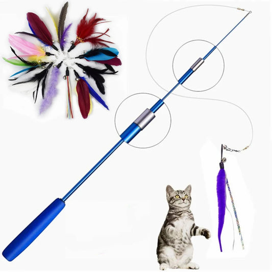 Interactive Pet Toy