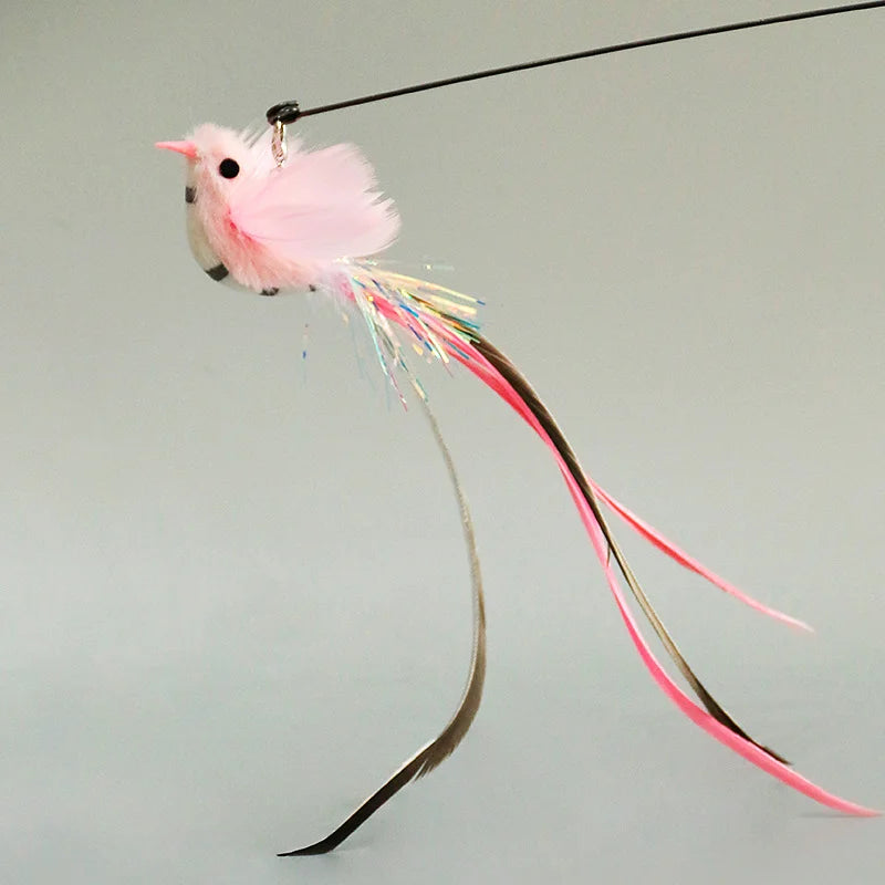 Interactive Pet Toy