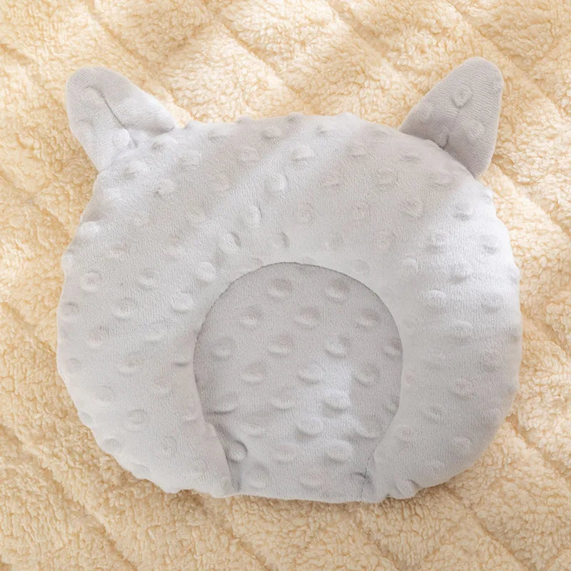 Interactive Pet Toy