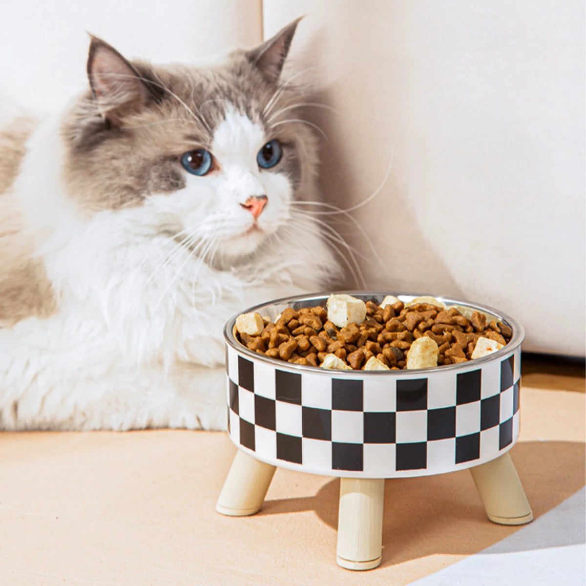 Pet Feeding Bowl