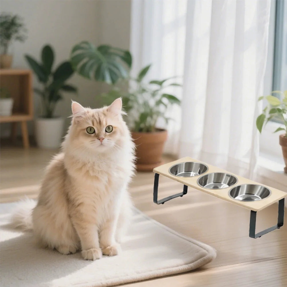 Pet Feeding Bowl