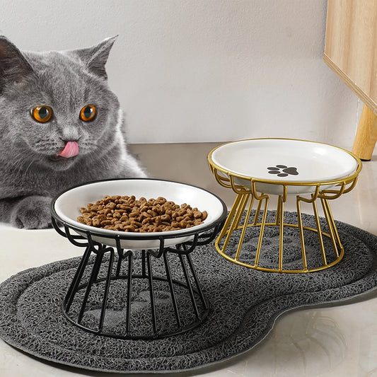 Pet Feeding Bowl