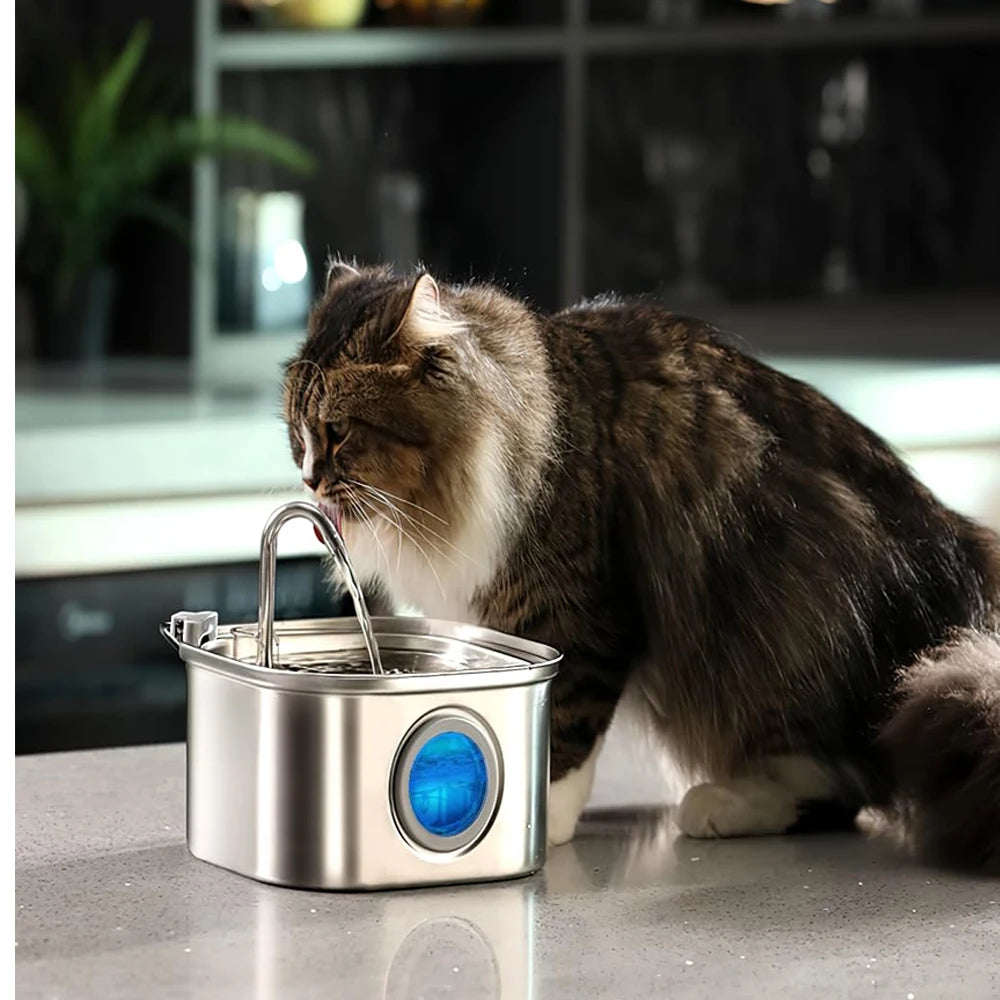 Pet Water Fountain