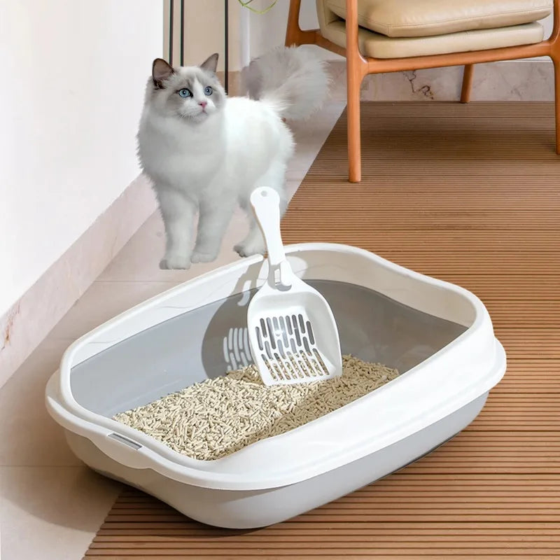 Pet Feeding Bowl