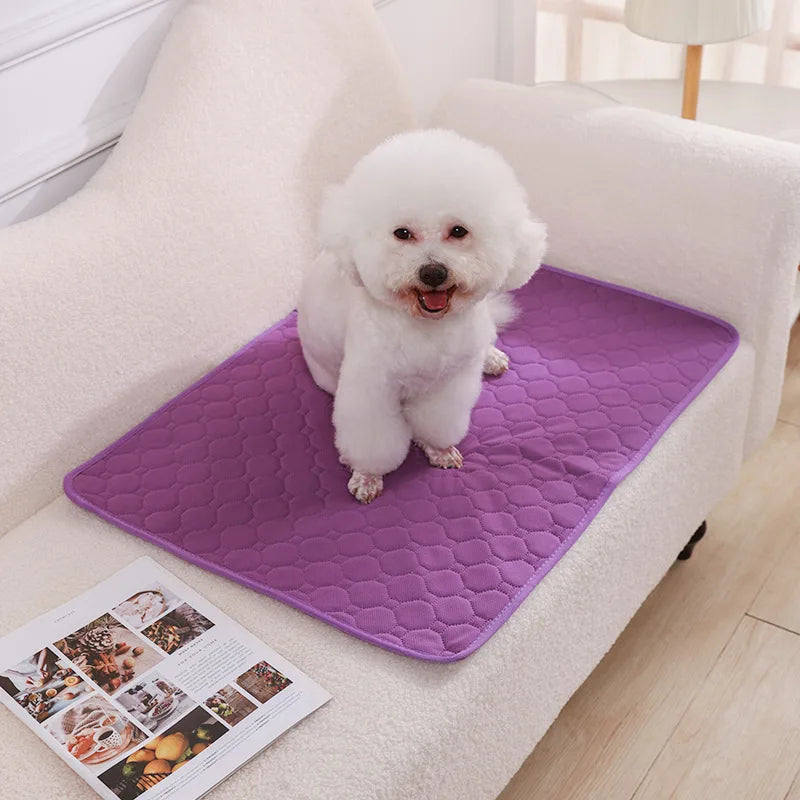 Soft Pet Blanket