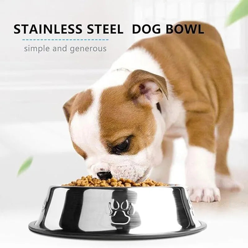 Pet Feeding Bowl