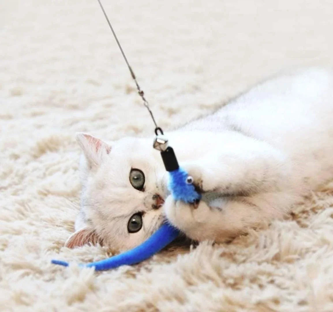 Interactive Pet Toy