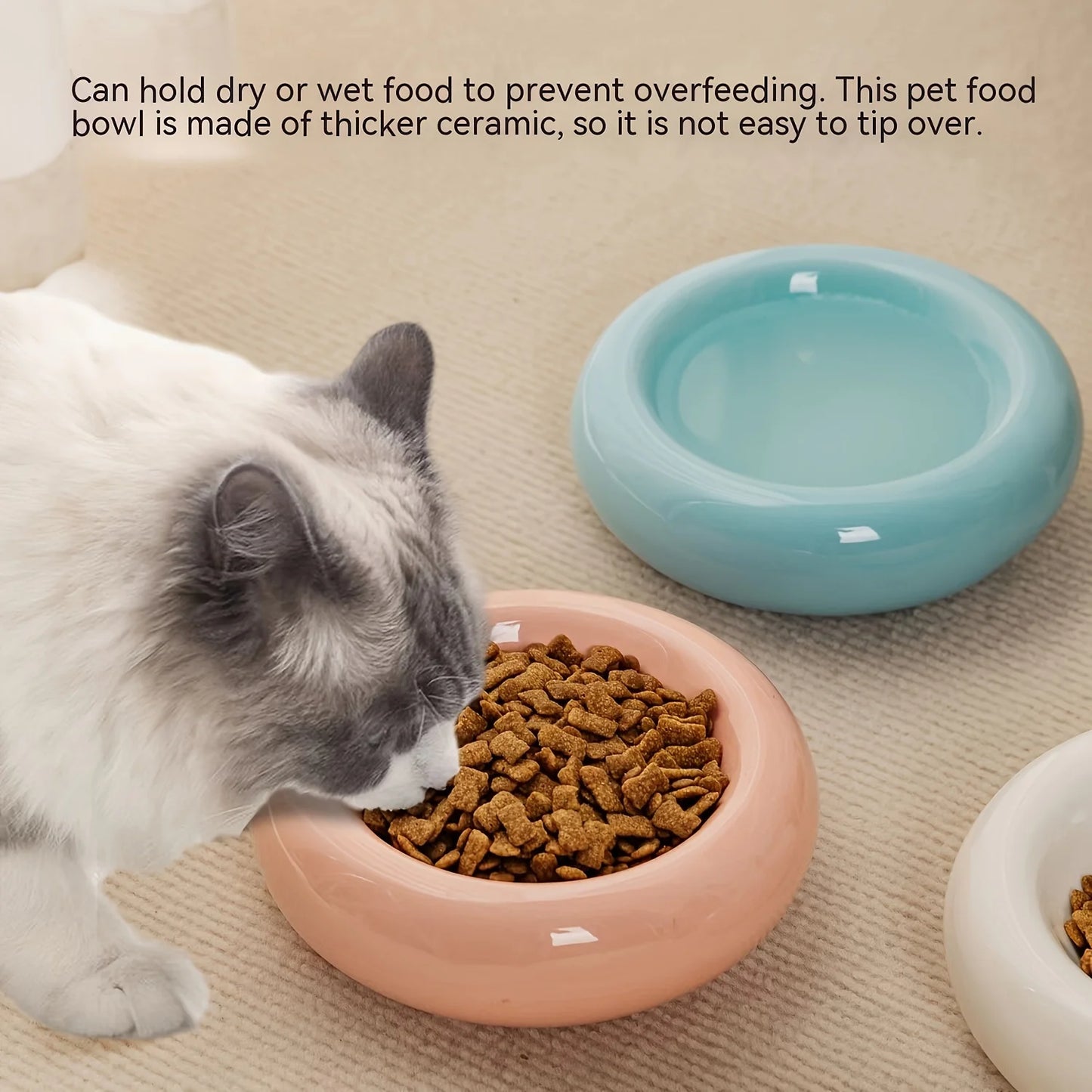 Pet Feeding Bowl