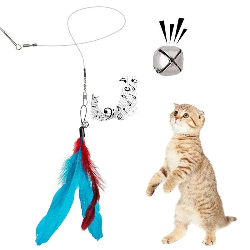 Interactive Pet Toy