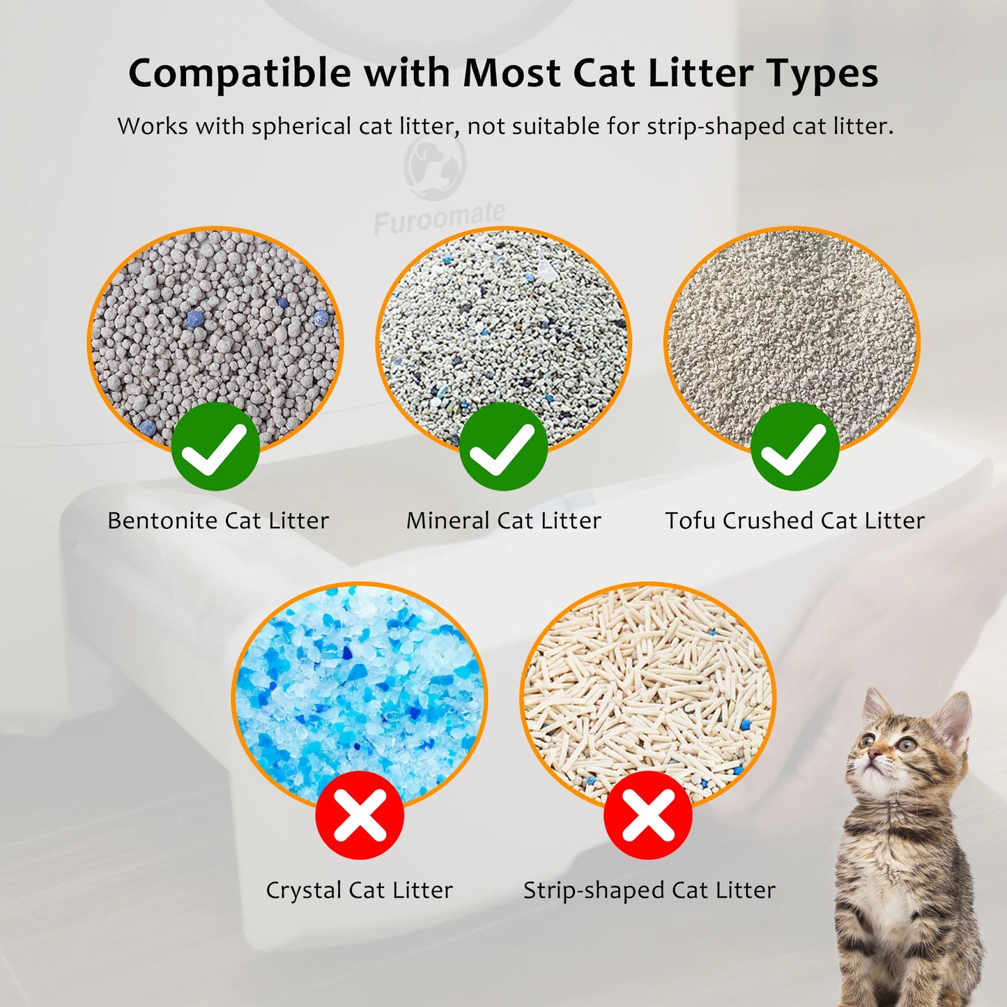 Cat Litter Accessory