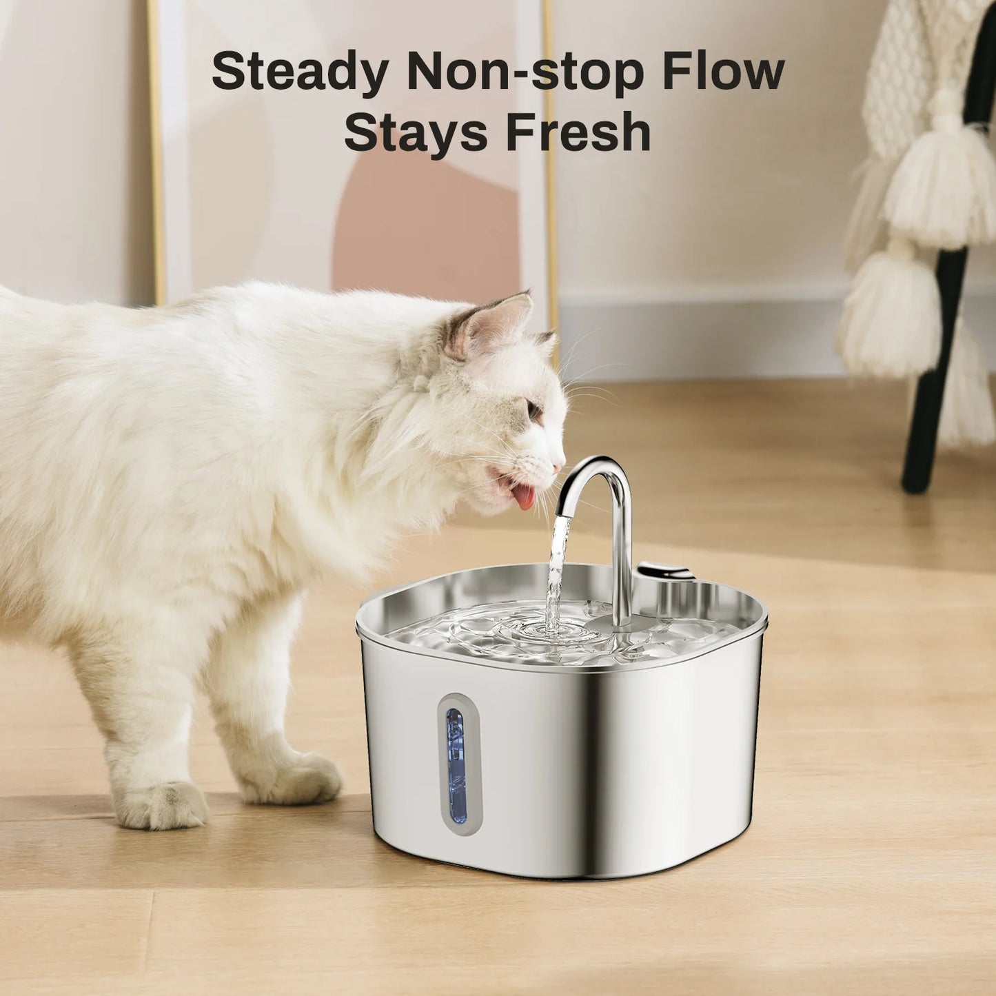 Pet Water Fountain