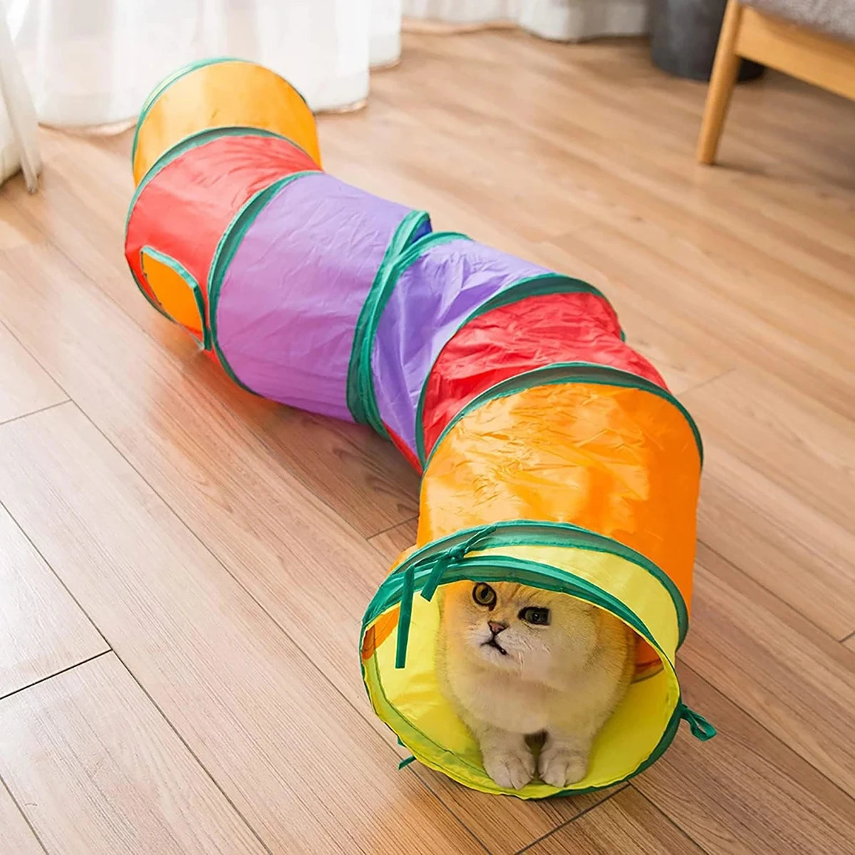 Interactive Pet Toy