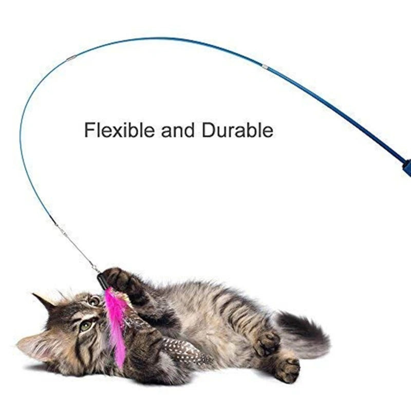 Interactive Pet Toy