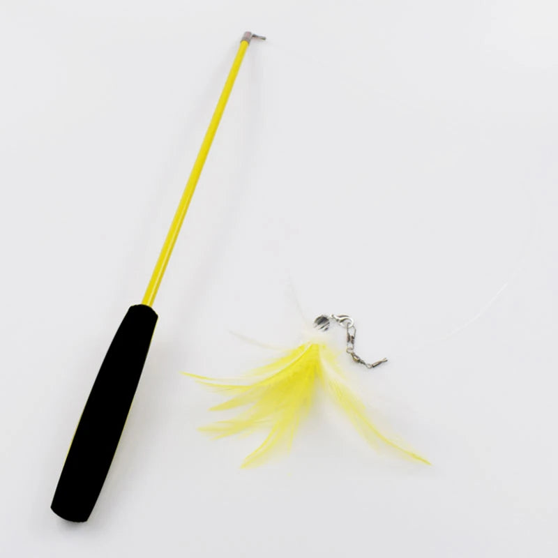 Interactive Pet Toy