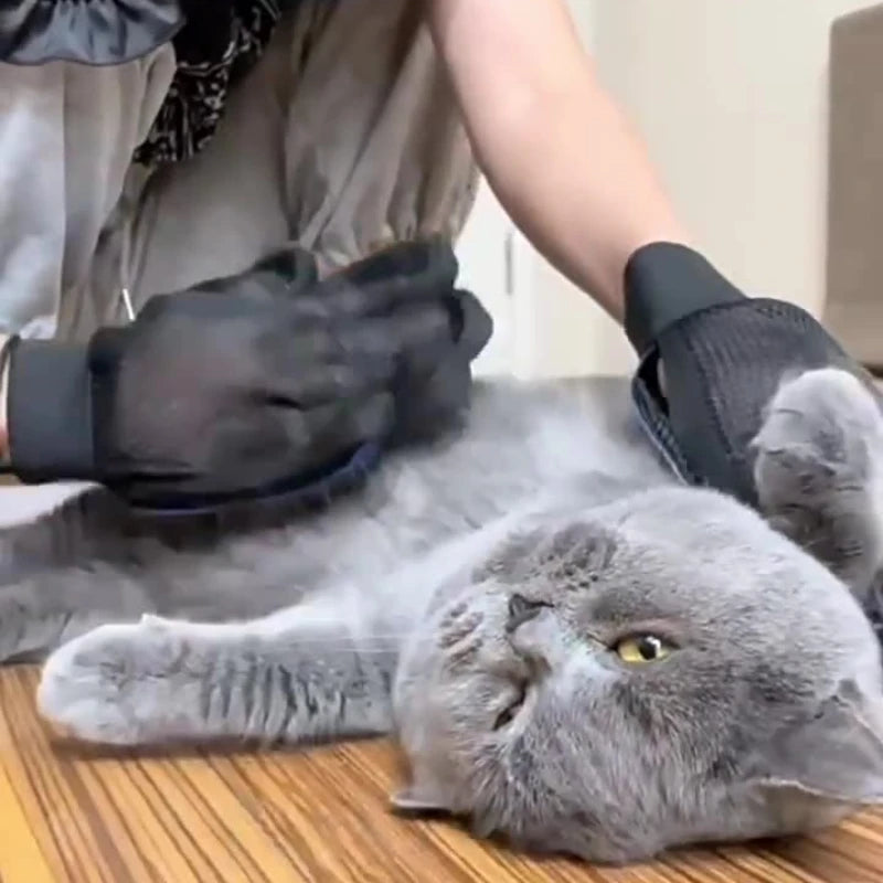 Self-Cleaning Pet Brush