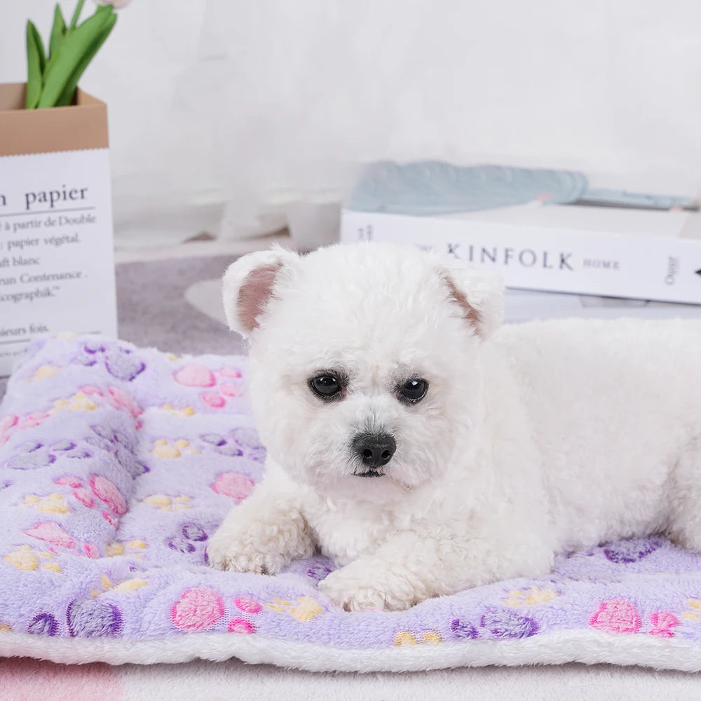 Soft Pet Blanket