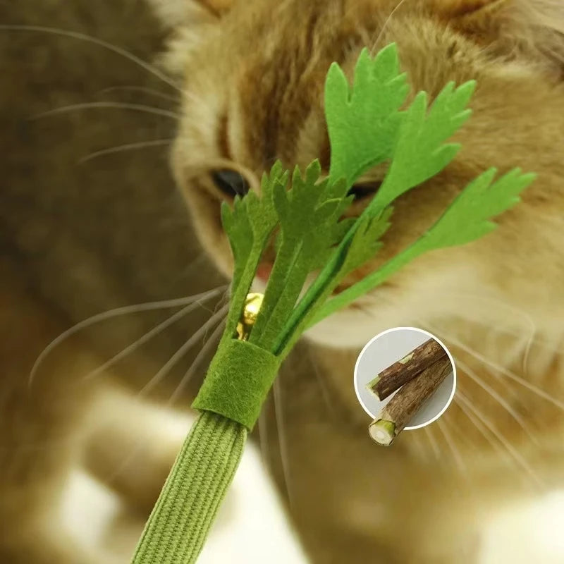 Interactive Pet Toy