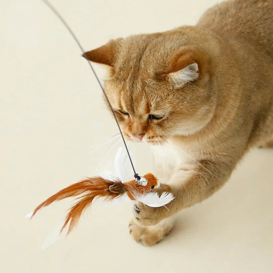Interactive Pet Toy