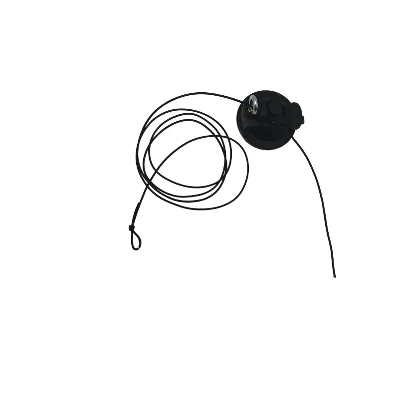 Interactive Pet Toy
