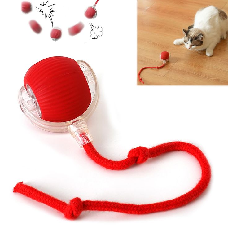 Cozy Pet Comfort Mat
