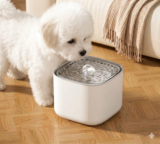 Pet Water Fountain
