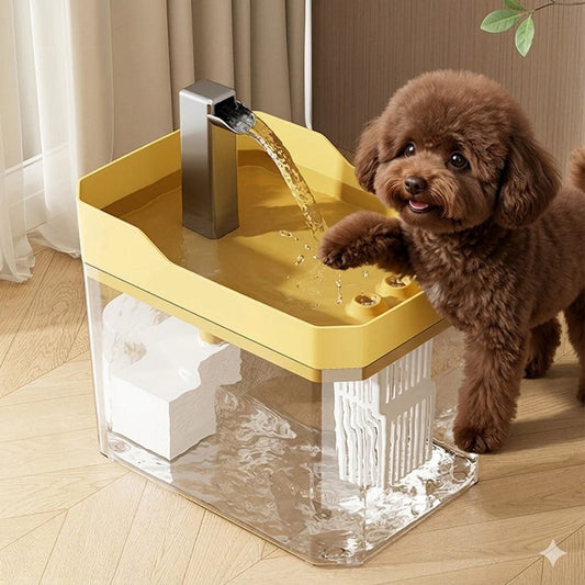 Pet Water Fountain
