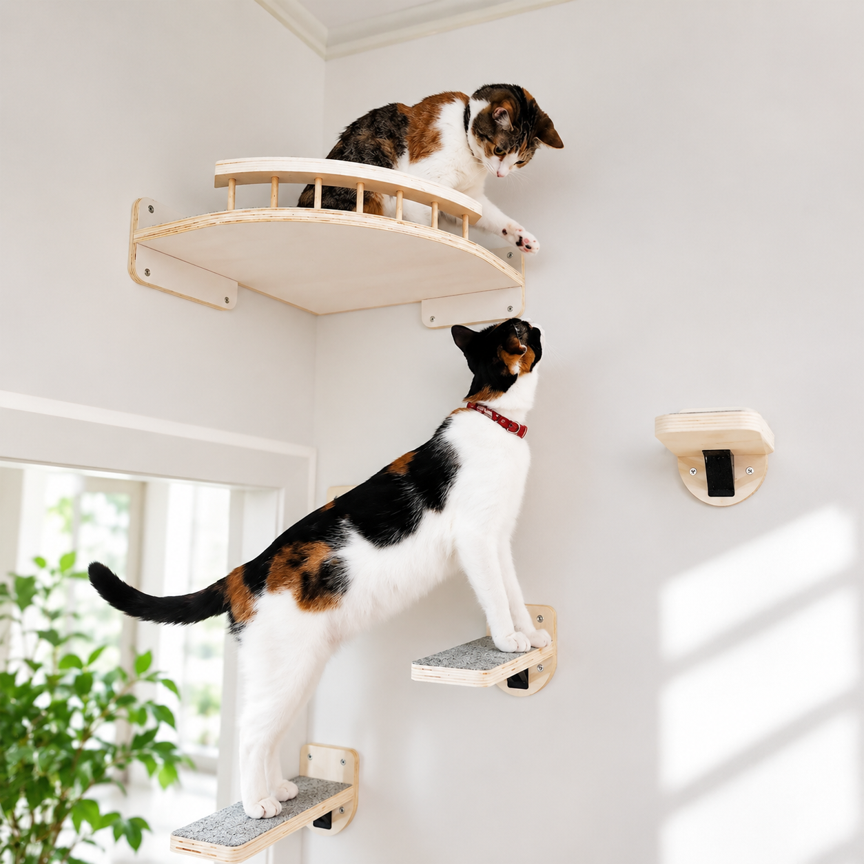 Cozy Pet Hammock