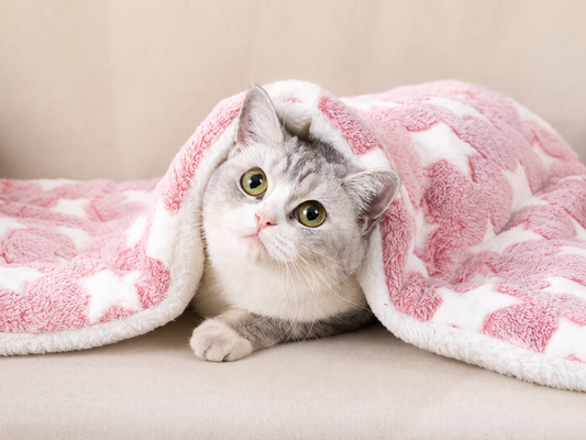 Soft Pet Blanket
