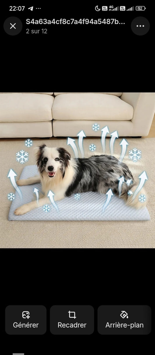 🐾 Premium Cooling Mat for Pets 🐾